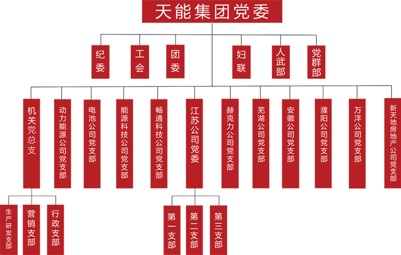 必发建团党委组织架构